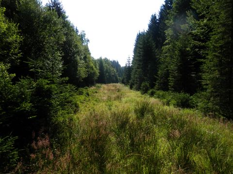 Foto 38